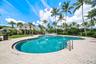Freeform swimming pool with brick paver decking, surrounded by mature palm trees and lush landscaping