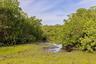 Access to Long Bayou
