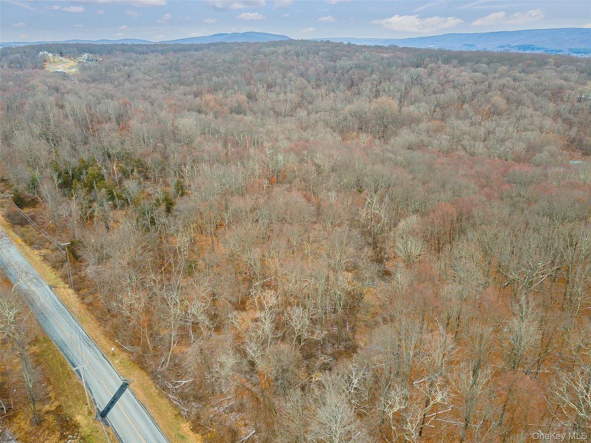Aerial view with a mountain view