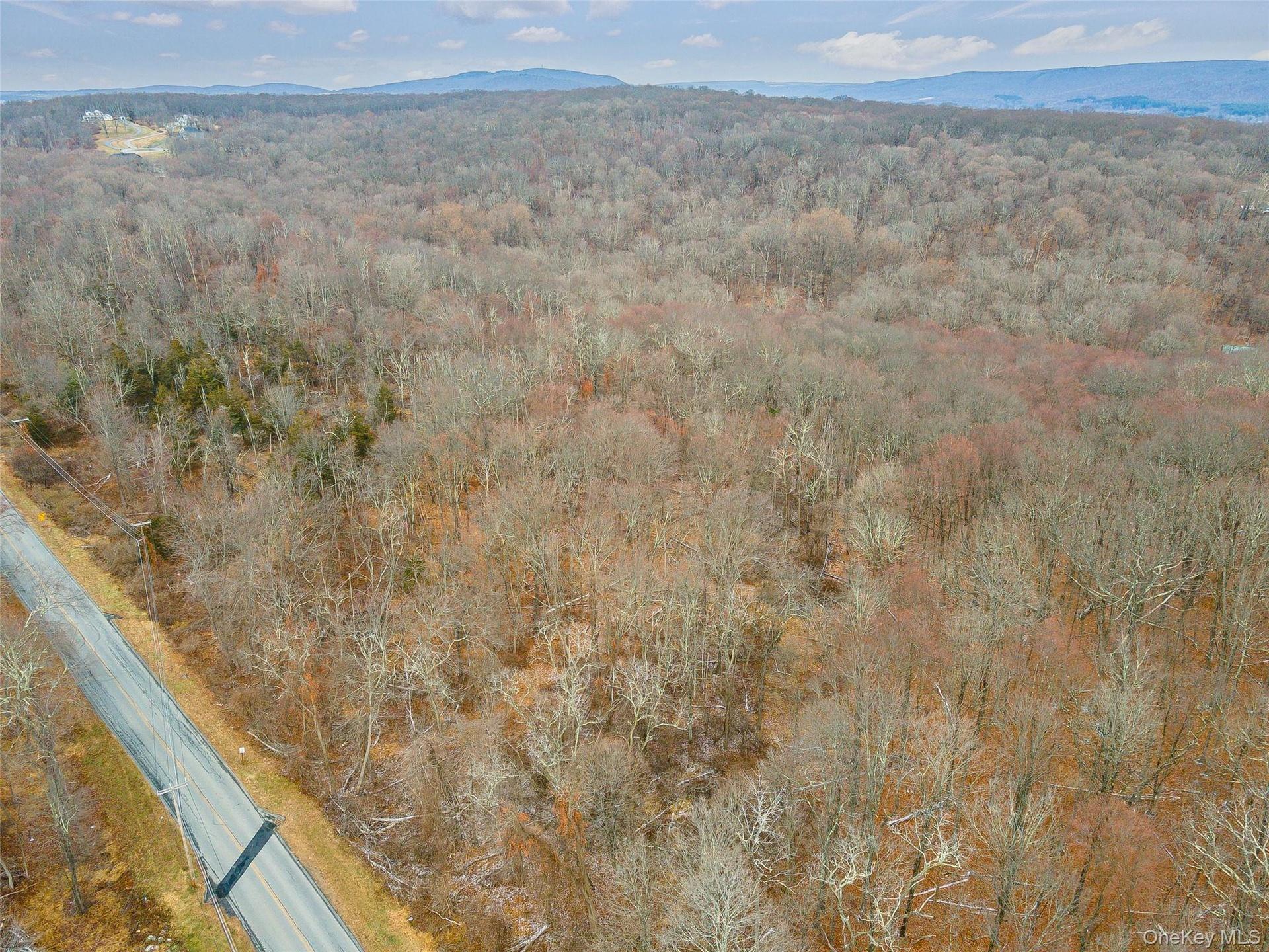 Aerial view with a mountain view