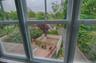 Veiw of Backyard