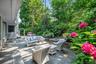 Back Terrace