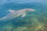 Wildlife encounters unfold along the way.