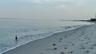 Beautiful beaches outside the gates, Turtle Beach, Crescent Beach, Siesta Beach.