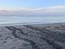 Observe protected sea turtle nesting areas nearby
