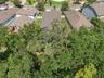 Aerial of the backyard and surrounding tree canopy
