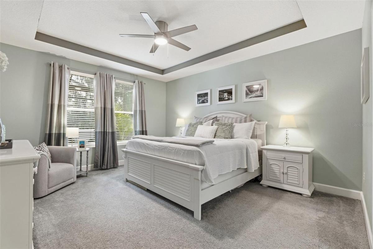 Primary bedroom retreat featuring a tray ceiling and ample natural light.
