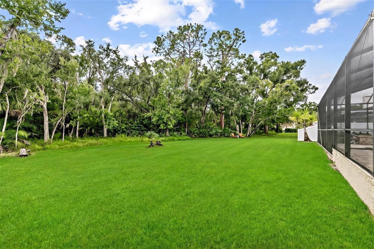 Huge Backyard! No rear neighbors!