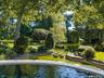 Pond