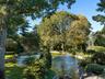 Pond