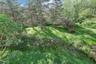 Backyard View From Deck