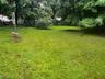 Backyard View