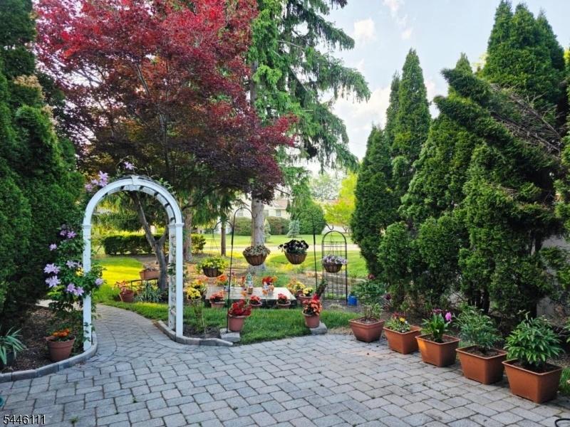 Parklike yard