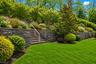 Backyard View