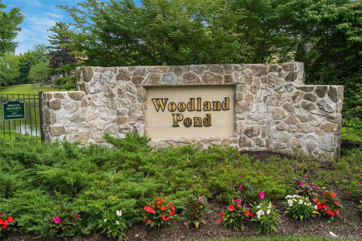 Woodland Pond