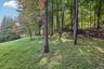 Expansive grassy terrain with mature trees, natural wooded surroundings, and a rustic split-rail fence