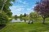 Community Pond