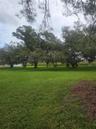 Rare Find with this Seminole lake frontage vacant land!