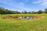 Historically a great location for a Garden!