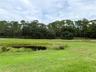 Pond
