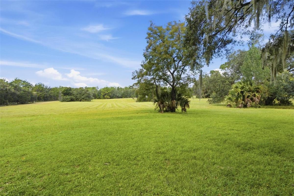 Green Rolling Hills!