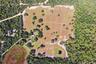 Nestled in the Ocala National Forest