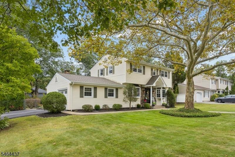 Immaculate Colonial