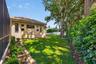 Large backyard with fruit trees