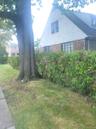 Gable roofline with dormer window, brick and siding exterior, established tree, and sidewalk access