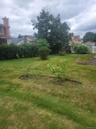 Expansive backyard featuring a manicured lawn, mature trees, and privacy hedging