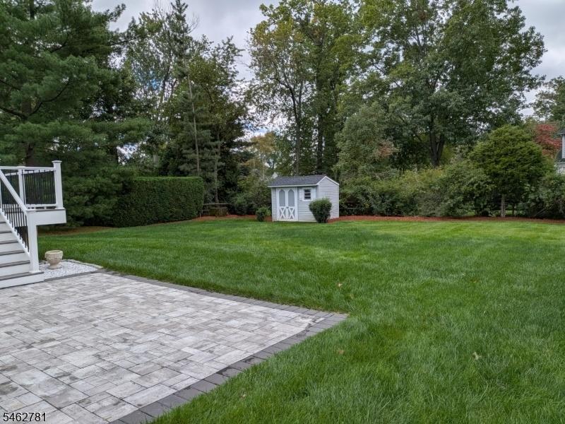 Patio and yard