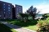 Beautiful and private common park area for complex