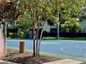 Tennis Courts
