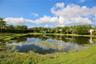 Pond View