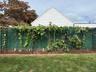 Manicured lawn with a brick-edged planting bed, featuring a trellised privacy fence