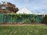 Large backyard featuring a manicured lawn, established garden bed with brick edging, and trellis-supported plantings