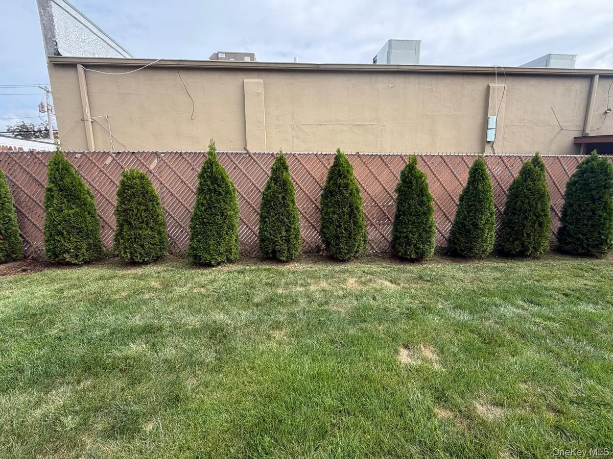 Backyard featuring a linear row of evergreens along a pattern fence,