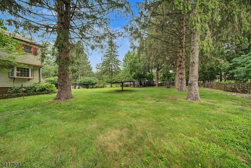 Backyard Oasis