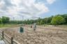 Come watch a horse show!