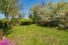 Large yard