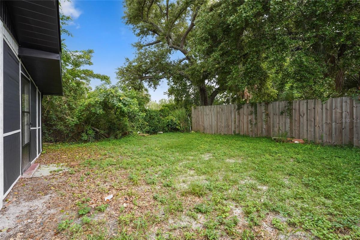 4749 backyard