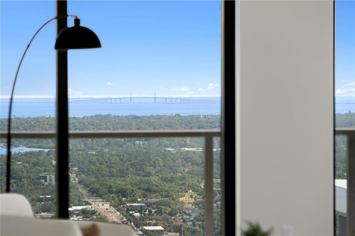 Reach Out and Touch the Skyway Bridge!