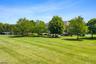 BEAUTIFUL BACKYARD