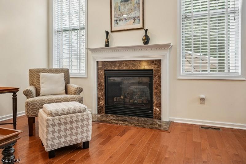 Gas Fireplace