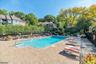Salt water Pool