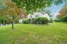 Wooded Lot