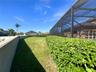 Rear Yard