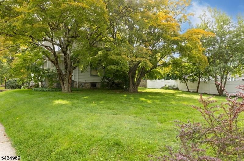LARGE CORNER LOT