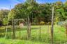 Fenced Part of Rear Yard