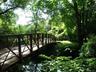 Enjoy the Bronx River Pathway.
